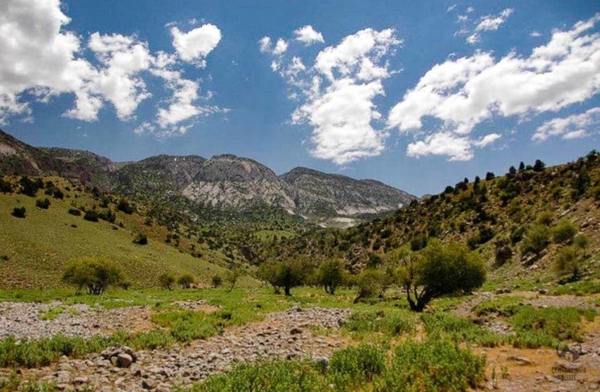 Turkmenistan's Koytendag Reserve eyes UNESCO World Heritage status 