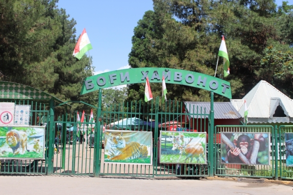 Dushanbe authorities cannot yet decide on a new place to build a new zoo