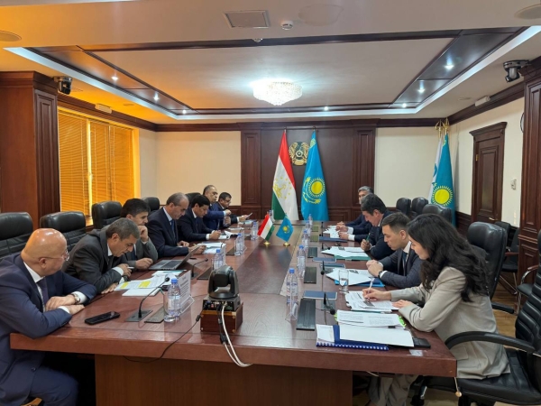 Kazakhstan to tap into Tajik electricity with Uzbekistan's transit support 