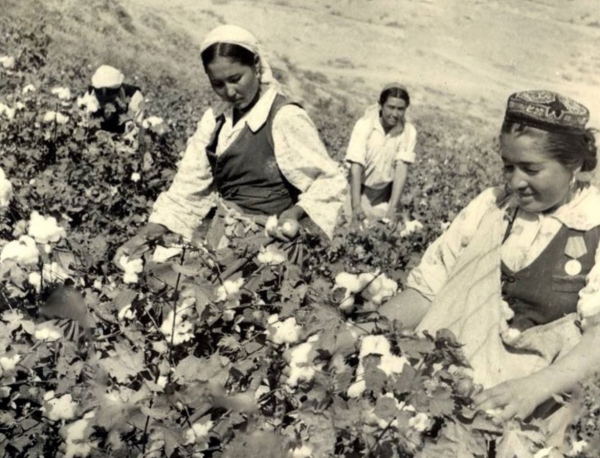 The curse of 'White Gold': How cotton enslaved Uzbekistan 