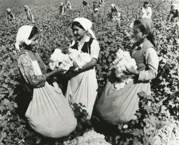 The curse of 'White Gold': How cotton enslaved Uzbekistan 