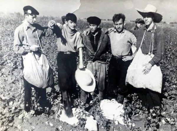 The curse of 'White Gold': How cotton enslaved Uzbekistan 