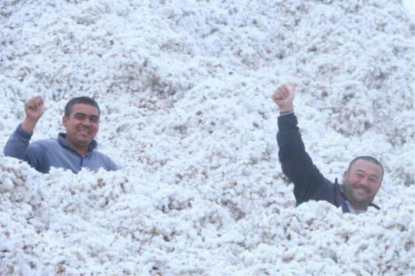 The curse of 'White Gold': How cotton enslaved Uzbekistan 