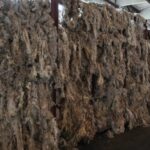 Kyrgyzstan produces over 13,000 tons of wool in 2024