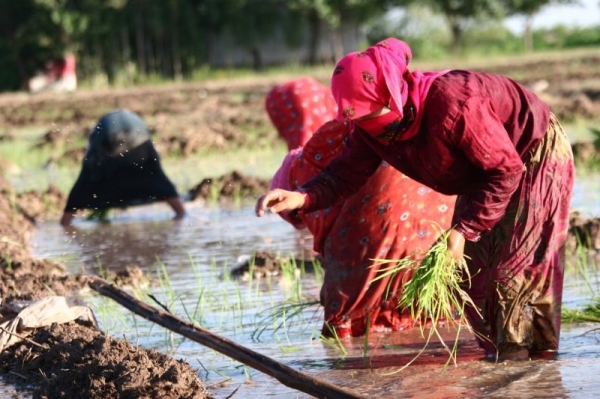 Central Asia advised to raise irrigation water tariffs