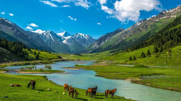 Naryn region becomes popular among tourists from Europe, Asia and U.S.