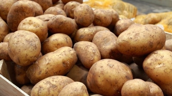 Kyrgyzstan increases potato exports by 1.9 times in 2024