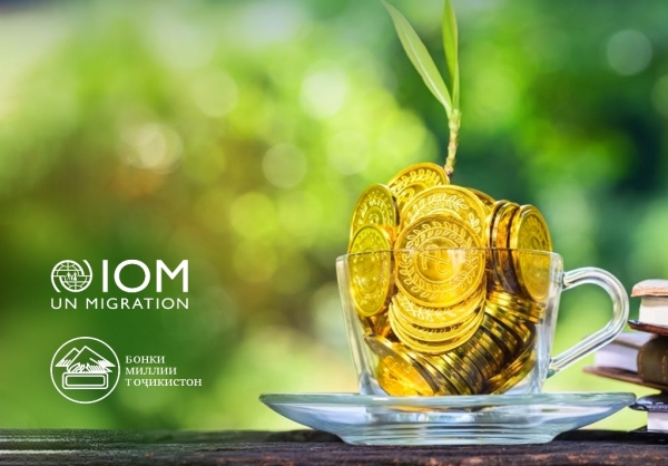 IOM develops free financial literacy course for labor migrants