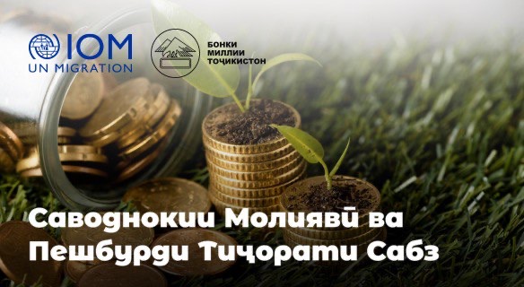 IOM develops free financial literacy course for labor migrants