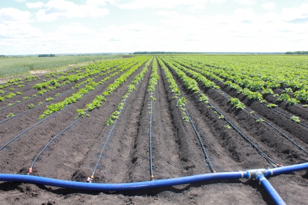 How сan water conservation and profit go hand in hand in Tajikistan?
