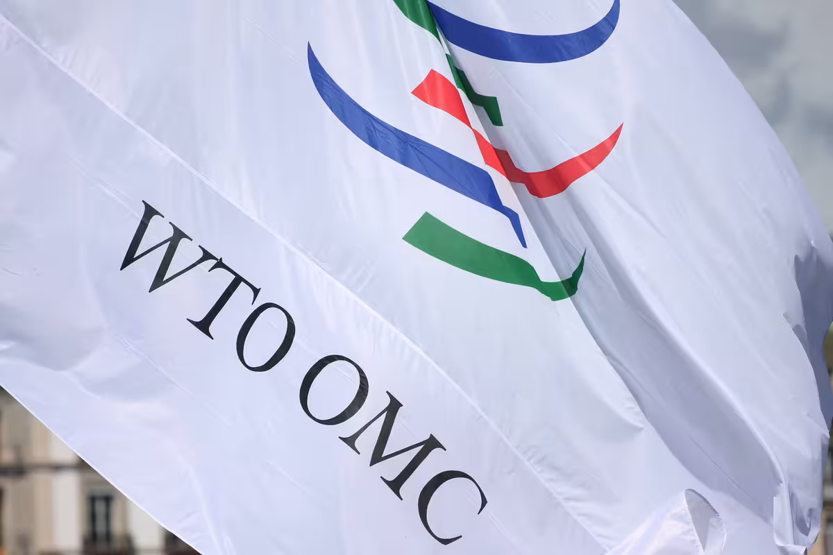 Push for WTO Membership