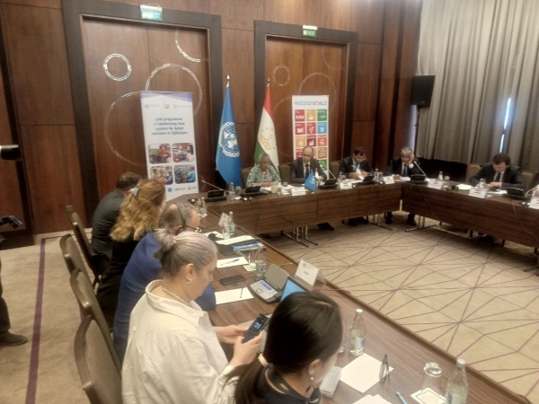 UN agencies to support Tajikistan in enhancing national nutrition