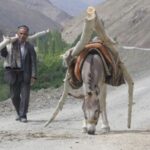 One in four Tajikistan residents lives below the poverty line, says World Bank report
