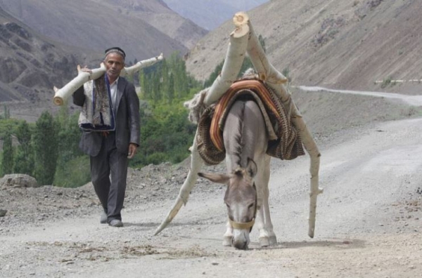 One in four Tajikistan residents lives below the poverty line, says World Bank report