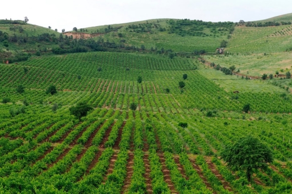 Tajikistan's Almosi Valley becomes first CIS site recognized as global agricultural heritage