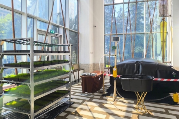 A smoke-free home: how biogas is transforming life in Tajik villages