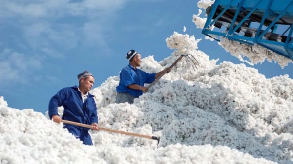We sell less, we buy more: Tajikistan's foreign trade with a minus of $2.9 billion